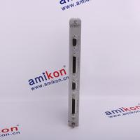 sales6@amikon.cn——Bently Module 丨350060丨temperature monitor